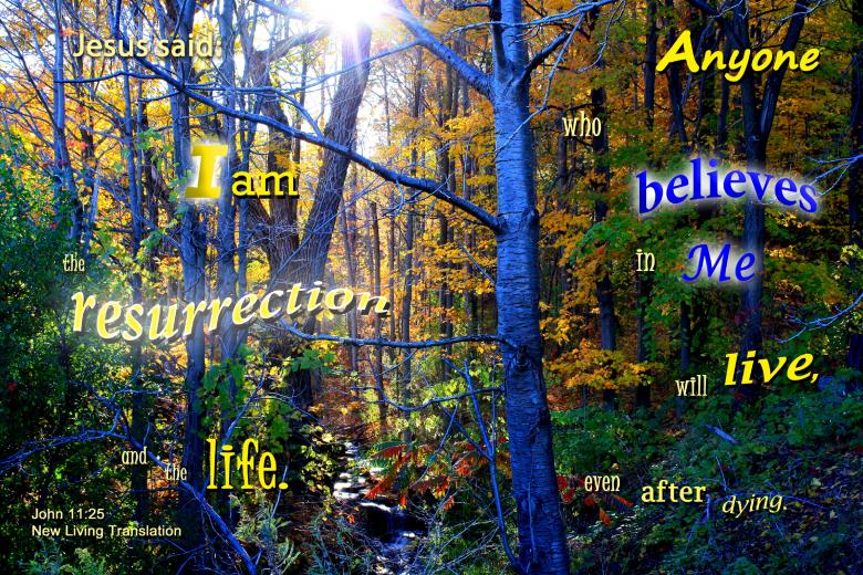 Free stock image of Resurrection and Life created by DFNatureAwed