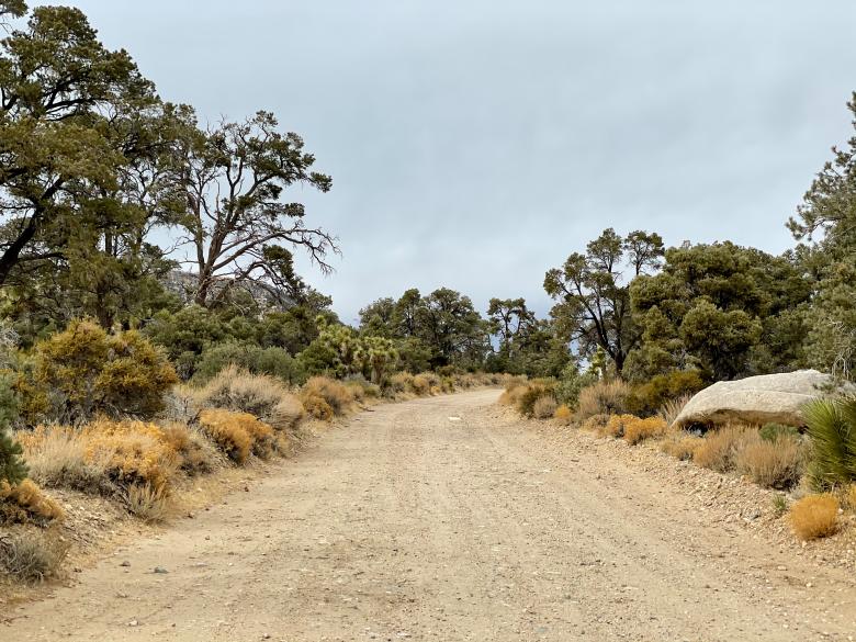 Free stock image of Dirt Road Photo created by Matt Bango