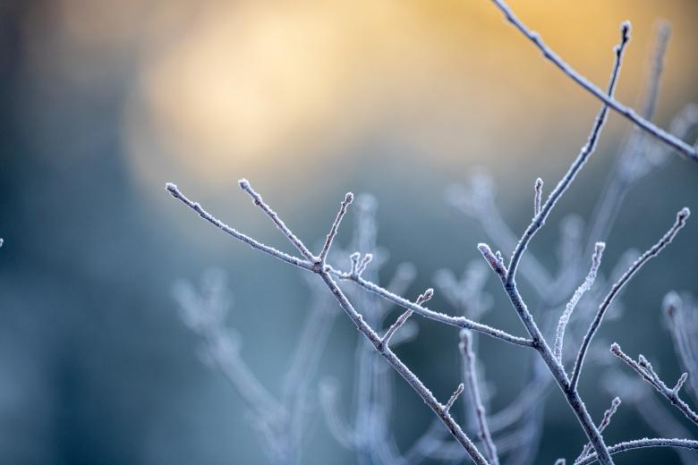 Free stock image of Ice Nature Photo created by Matt Bango