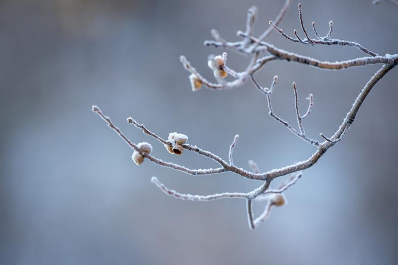 Free stock image of Ice Nature Photo created by Matt Bango