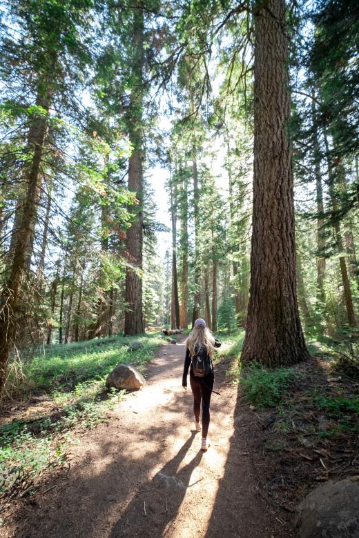 Free stock image of Woman Walking Photo created by Matt Bango