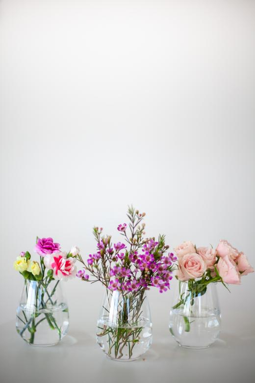 Free stock image of Flower Vase Photo created by Matt Bango