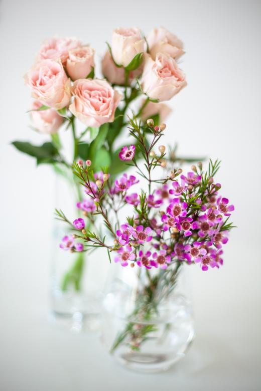 Free stock image of Flower Vase Photo created by Matt Bango