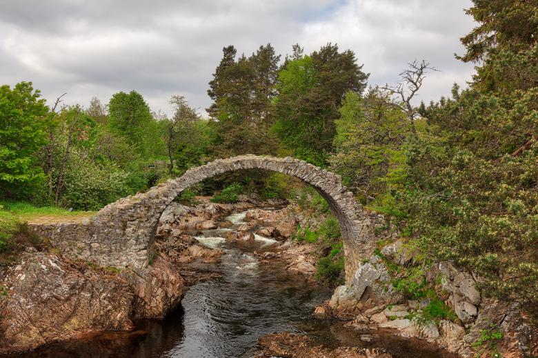Free stock image of Ancient Carrbridge created by Nicolas Raymond