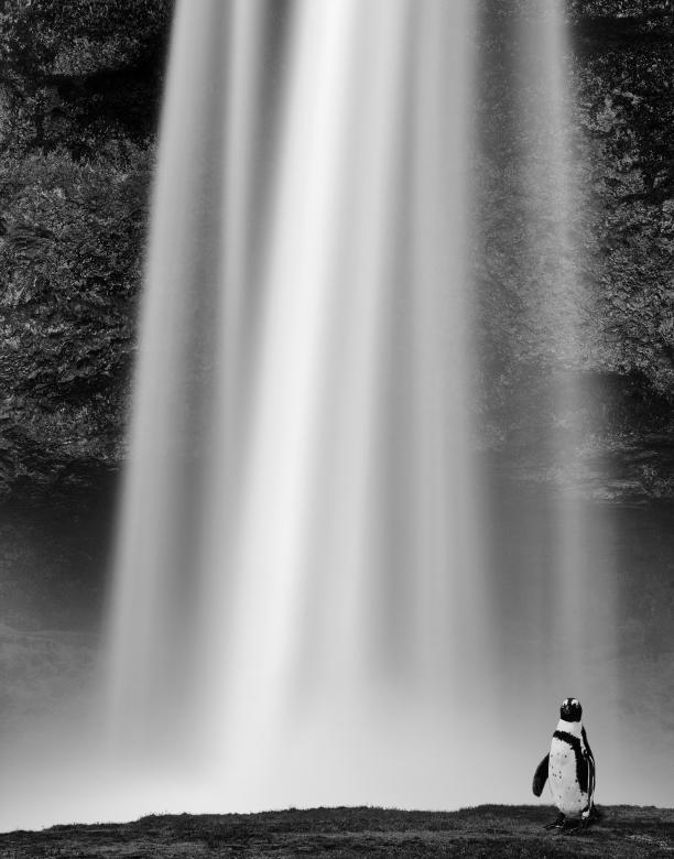 Free stock image of Penguin Pin Falls created by Nicolas Raymond