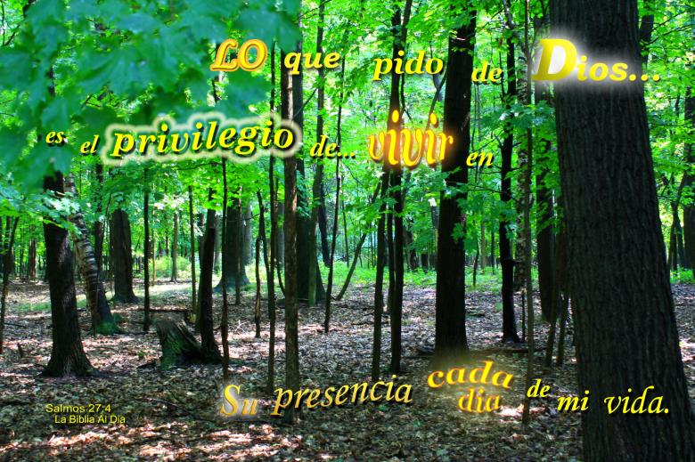 Free stock image of Lo Que Pido de Dios created by DFNatureAwed