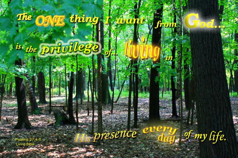 Free stock image of The One Thing created by DFNatureAwed