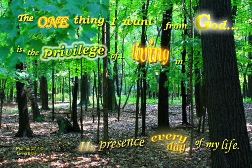 Free Stock Photo of The One Thing
