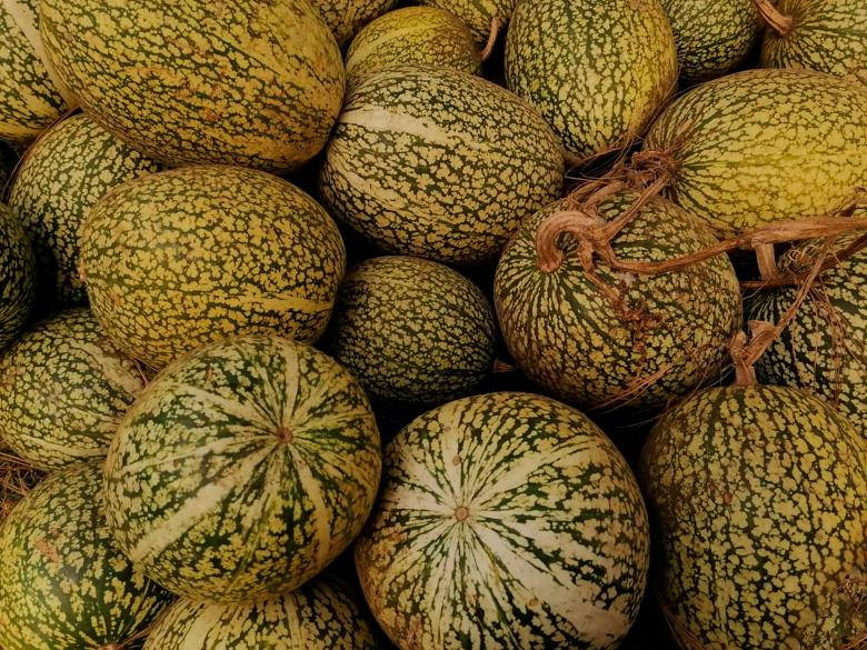 Free stock image of Chilacayote created by Atole de nuez