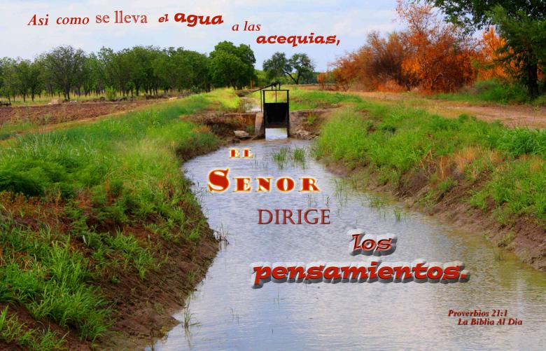 Free stock image of El Senor Dirige Los Pensamientos created by DFNatureAwed