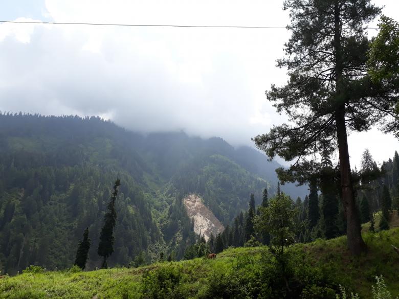 Free stock image of lolab valley created by Niaz Ahmed