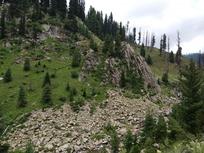 Free stock image of Lolab valley created by Niaz Ahmed