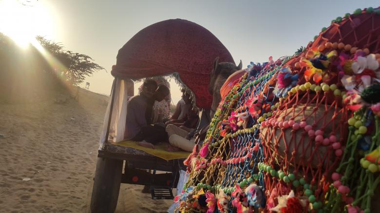 Free stock image of Camel Ride  created by Niaz Ahmed