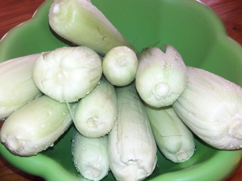 Free stock image of Fresh corn  created by Mulaudzi E