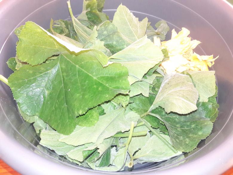 Free stock image of Vegetable Thanga leaves created by Mulaudzi E