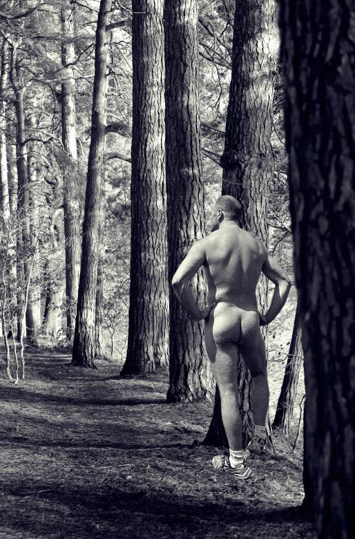 Free stock image of Nude in the woods created by David James