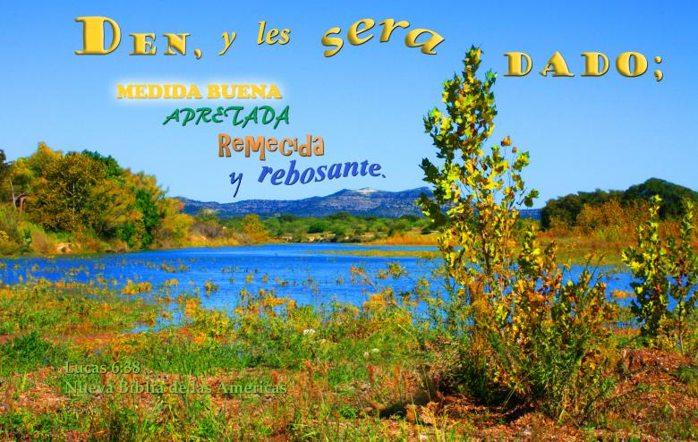 Free stock image of Den y les Sera Dado created by DFNatureAwed