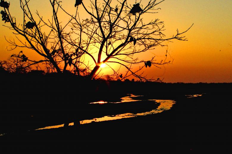 Free stock image of Golden sunrise created by MUKTINAVA CHOWDHURY