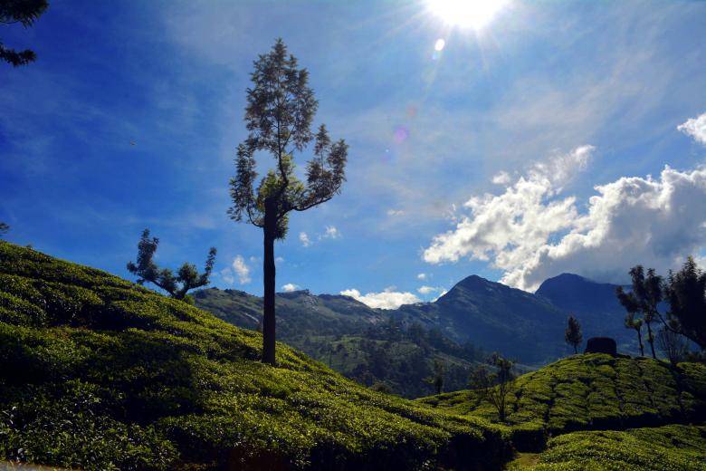 Free stock image of Scenic landscape created by MUKTINAVA CHOWDHURY
