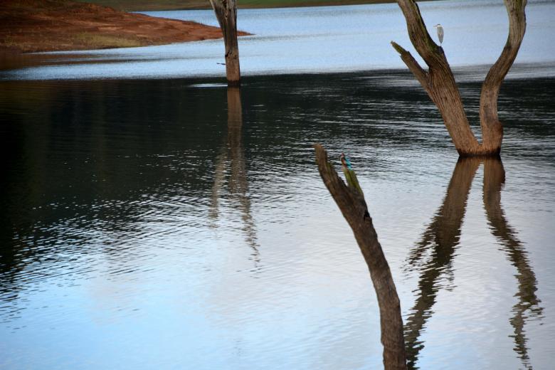 Free stock image of Calm lake created by MUKTINAVA CHOWDHURY