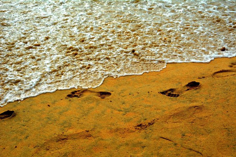 Free stock image of Footprint in sand created by MUKTINAVA CHOWDHURY