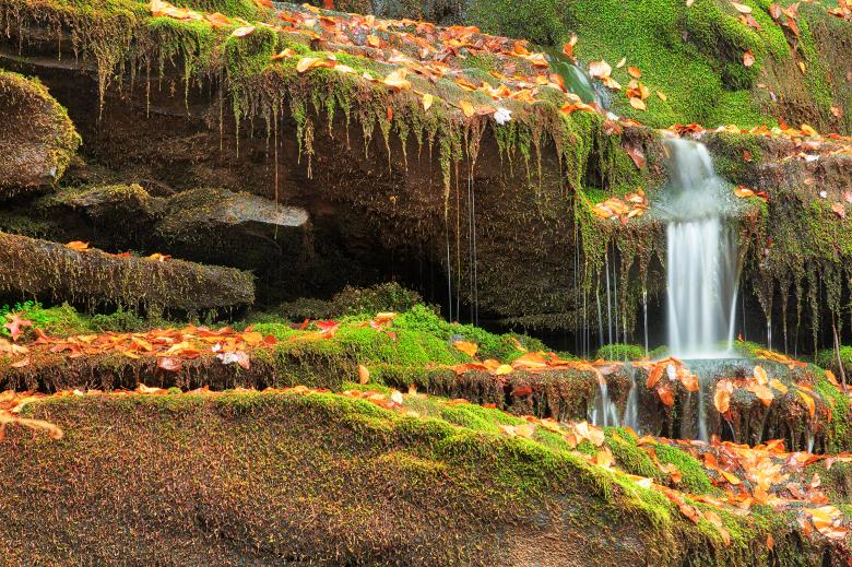 Free stock image of Autumn Moss Trickle created by Nicolas Raymond