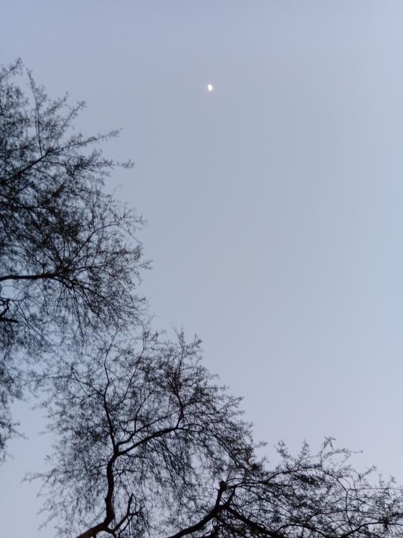 Free stock image of Moonlit day created by Utsho 