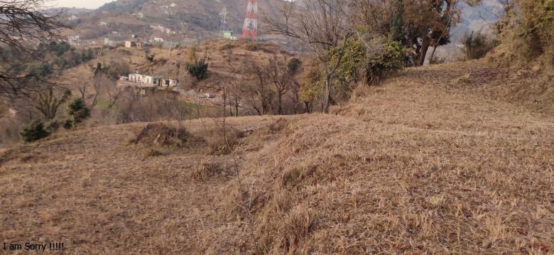 Free stock image of Village view created by Niaz Ahmed