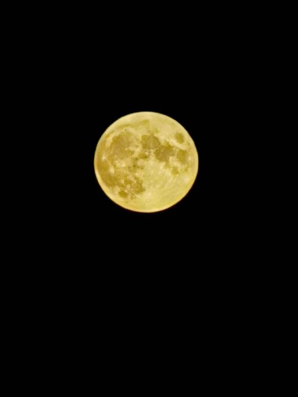 Free stock image of Moon cheese created by Sergey Kozyrenko