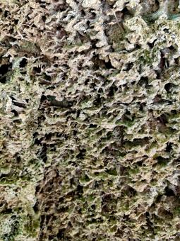 Rocky texture - Free Stock Photo