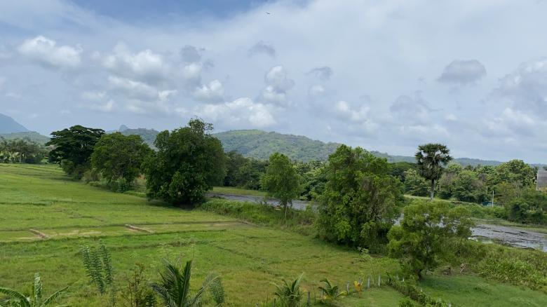 Free stock image of Lake view with paddy field created by SK