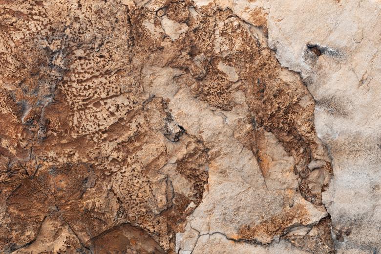 Free stock image of Medusa Stone created by Nicolas Raymond