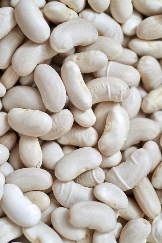 Free stock image of White bean background created by Secret Agency
