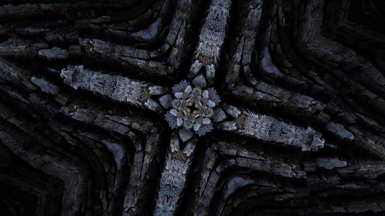 Free stock image of Kaleidoscope pattern created by Royalty Innovation