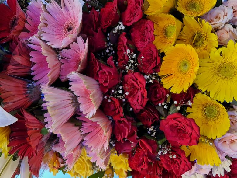 Free stock image of Flower background created by MAHBUB MORSHED BHUYAN