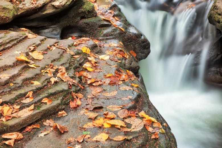 Free stock image of Autumn Face Stream created by Nicolas Raymond
