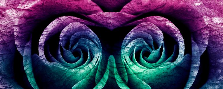 Free stock image of Chameleon Rose created by Nicolas Raymond