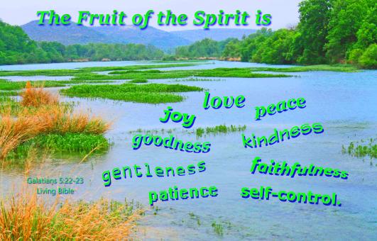 Free Stock Photo of The Fruit of the Spirit