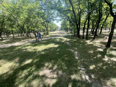 Park landscape - Free Stock Photo