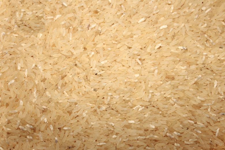 Free stock image of Organic Rice Grain Texture created by Ramkumar
