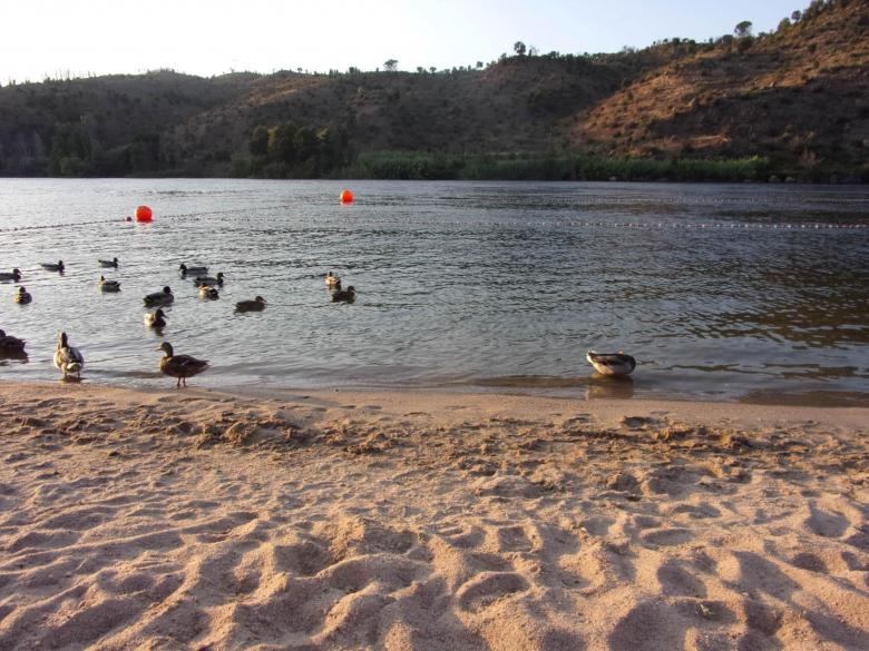 Free stock image of Praia do Alamal created by Luis Chamorrinha