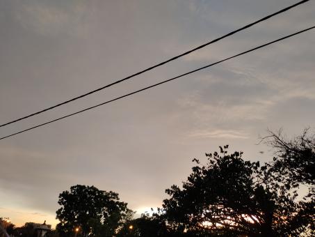 Dawn - Free Stock Photo
