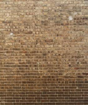 Brick Wall - Free Stock Photo
