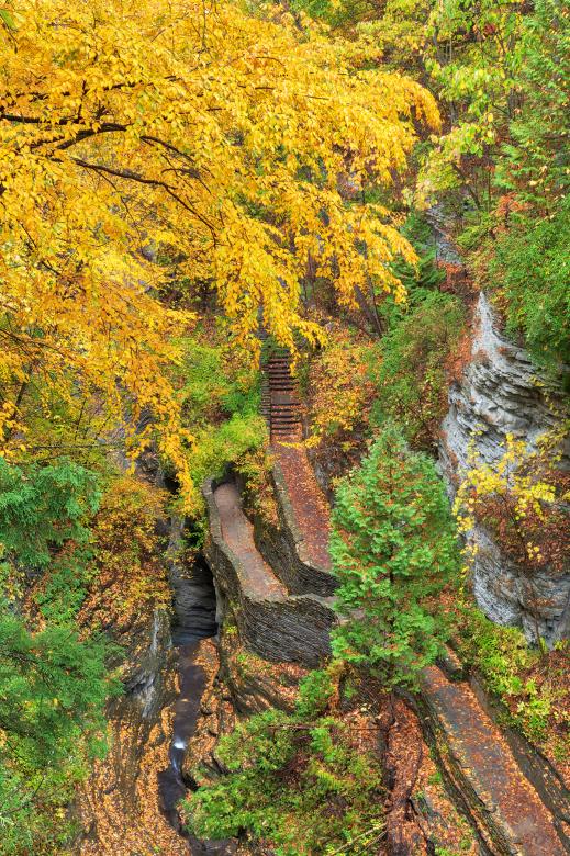 Free stock image of Autumn Gorge Trail - Watkins Glens created by Nicolas Raymond