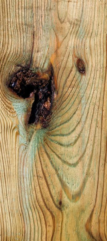Free stock image of Drift Wood created by Andrew Chilvers