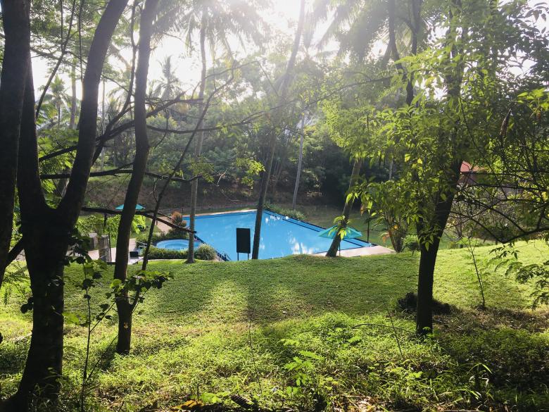 Free stock image of Pool created by Kavindya
