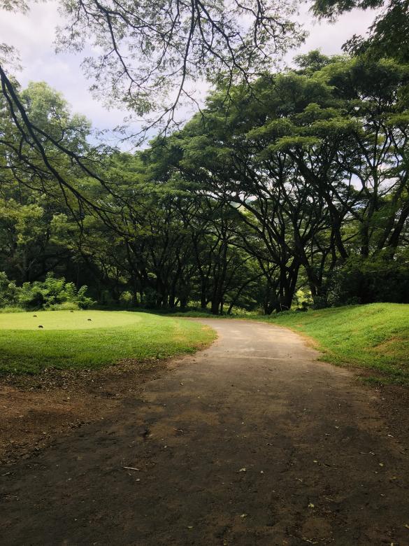 Free stock image of Lonely created by Kavindya
