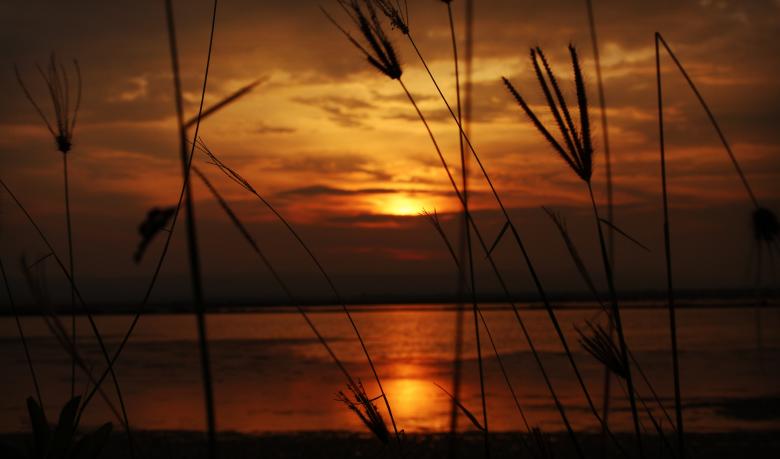 Free stock image of Sunset trees created by Moh fajar shidiq