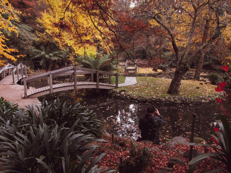 Free stock image of Autumn garden created by Michiru Maeda