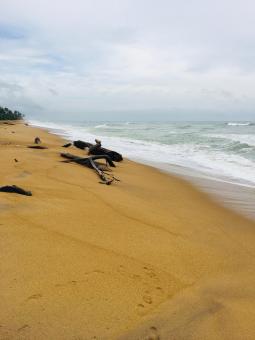 Sandy beach - Free Stock Photo
